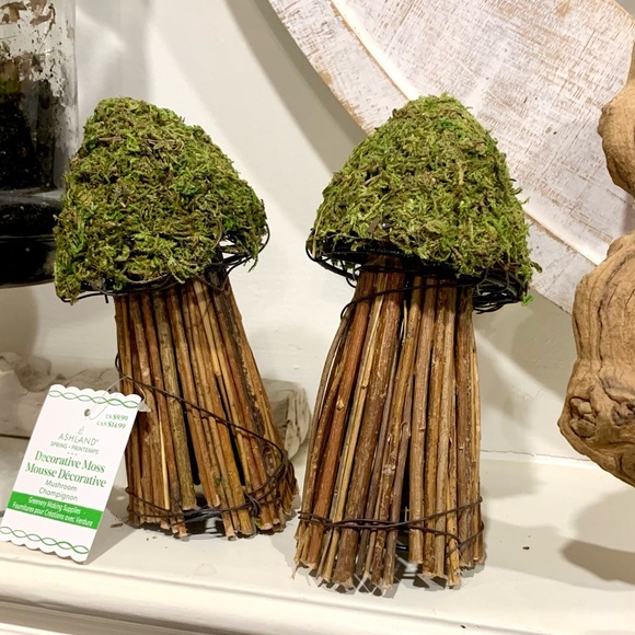 Ashland Other - NWT Wicker & Moss Mushrooms